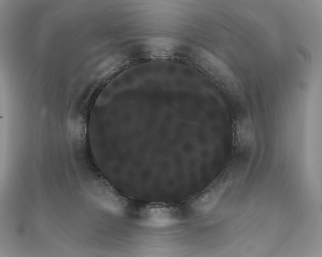 X0000111800228200908061205