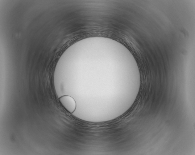 X0000111800229200908061205
