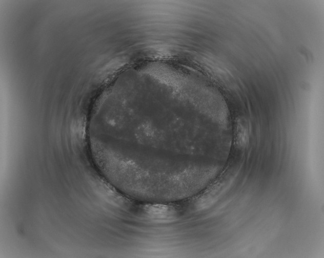 X0000111800230200908061205