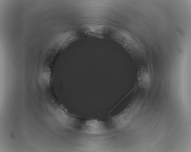 X0000111800231200908061205