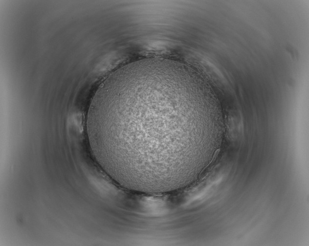 X0000111800232200908061205