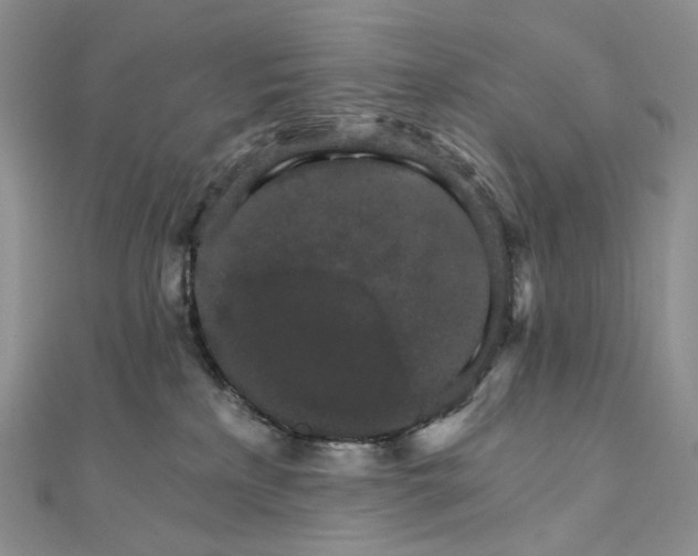 X0000111800233200908061205
