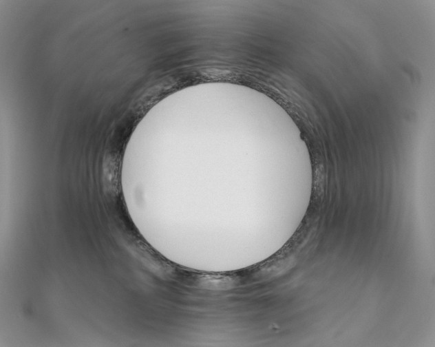 X0000111800234200908061205