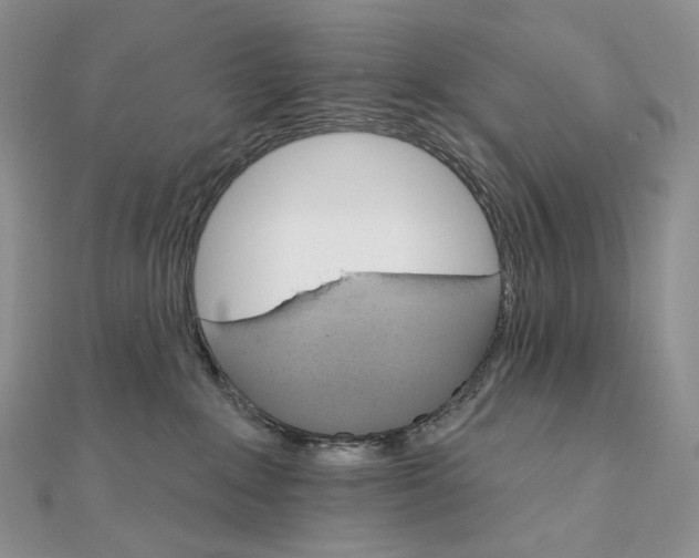 X0000111800235200908061205