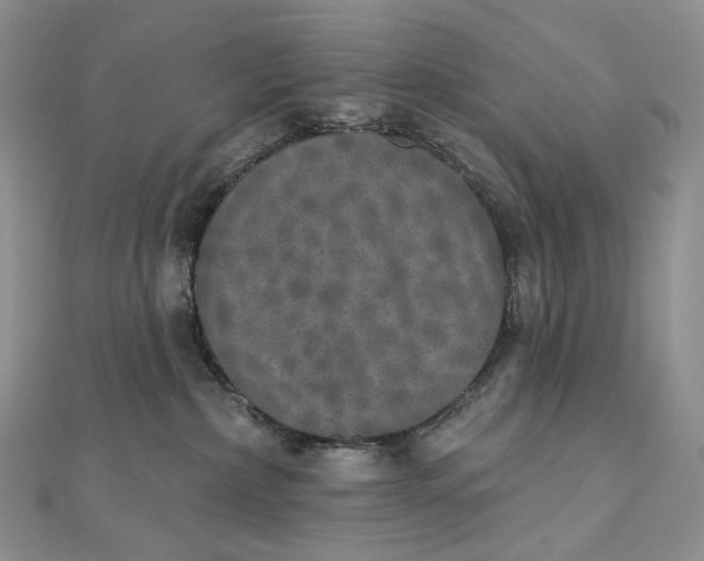 X0000111800236200908061205