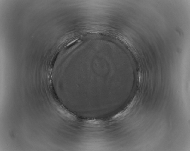 X0000111800237200908061205