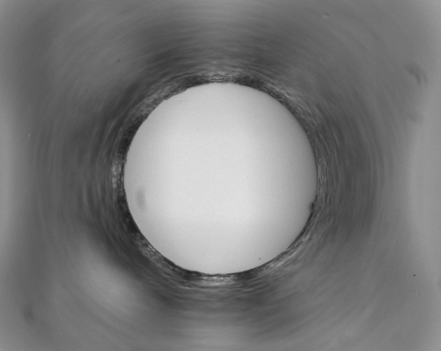 X0000111800240200908061205