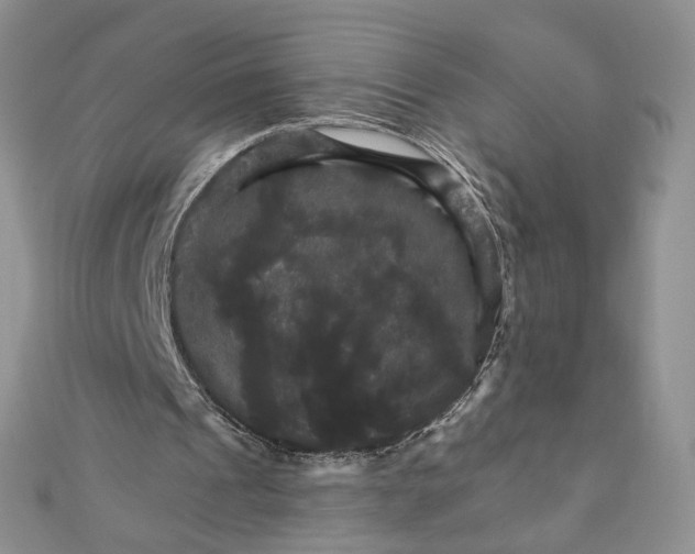 X0000111800241200908061204