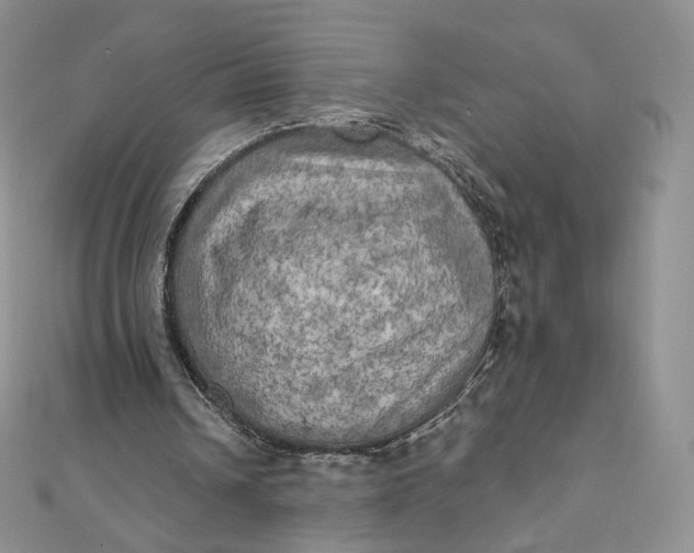 X0000111800242200908061204