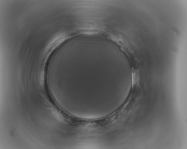 X0000111800243200908061204