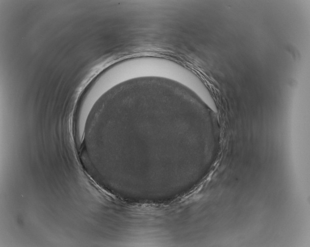 X0000111800244200908061204