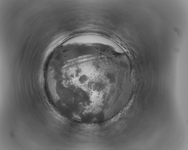X0000111800245200908061204