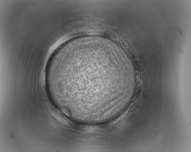 X0000111800246200908061204