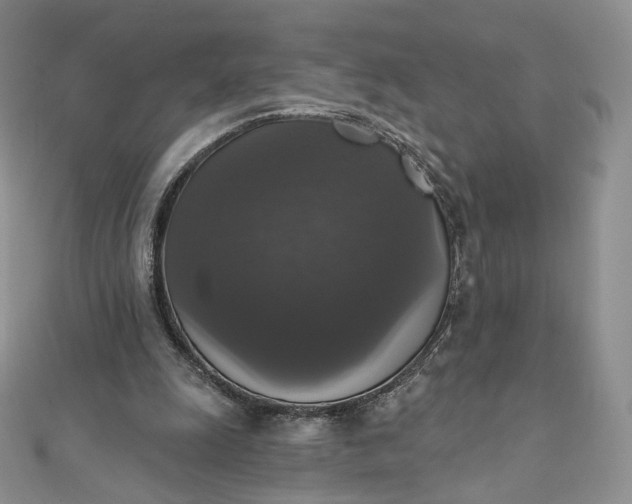 X0000111800247200908061204