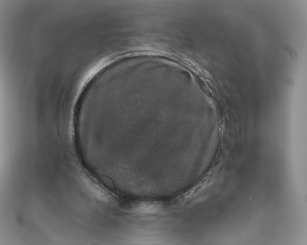 X0000111800248200908061204