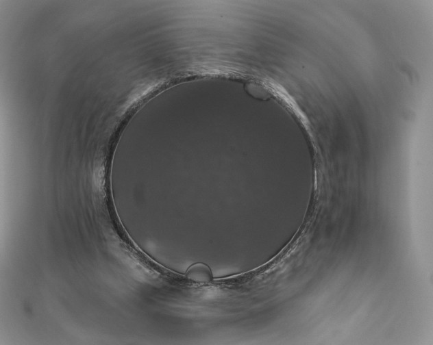 X0000111800249200908061204