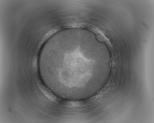 X0000111800250200908061204