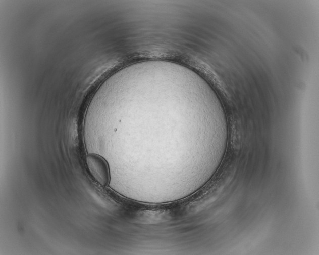 X0000111800251200908061204