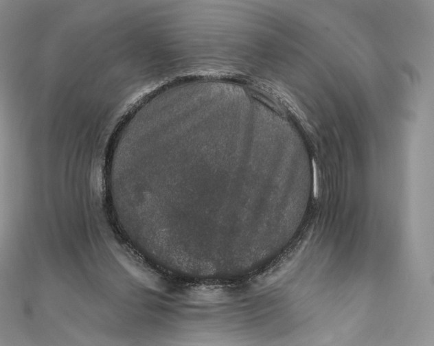 X0000111800252200908061204