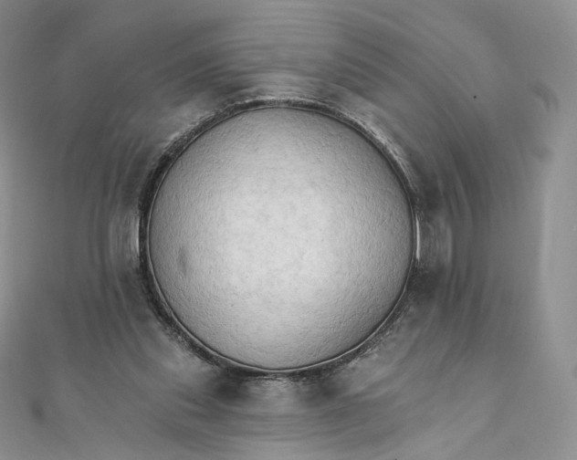 X0000111800253200908061204