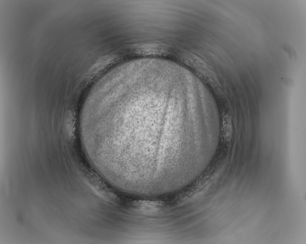 X0000111800255200908061204