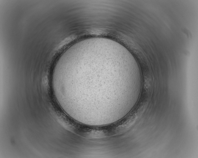 X0000111800256200908061204