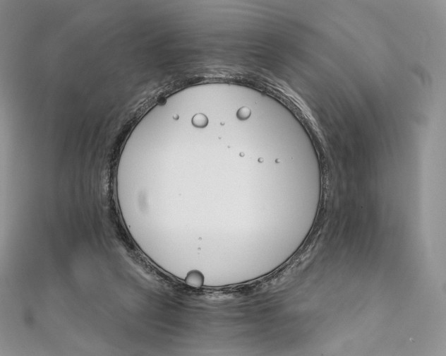 X0000111800257200908061204