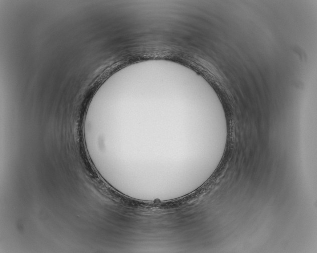 X0000111800258200908061204