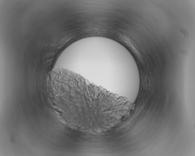 X0000111800259200908061205