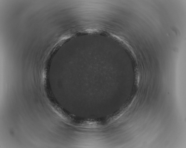 X0000111800260200908061205