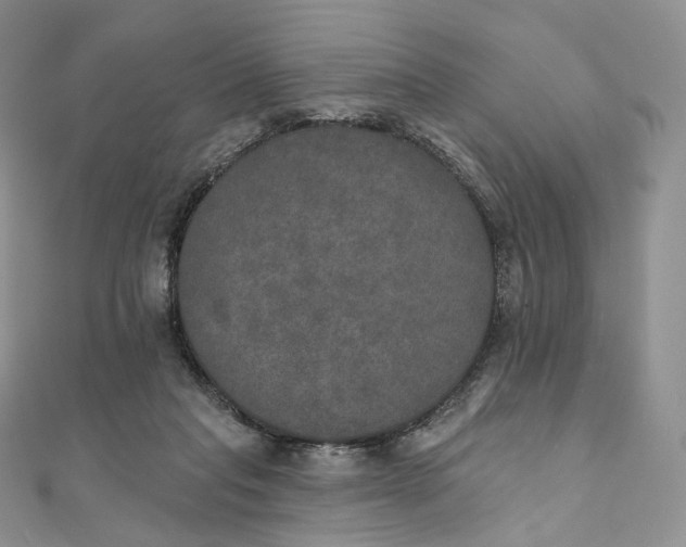 X0000111800261200908061205