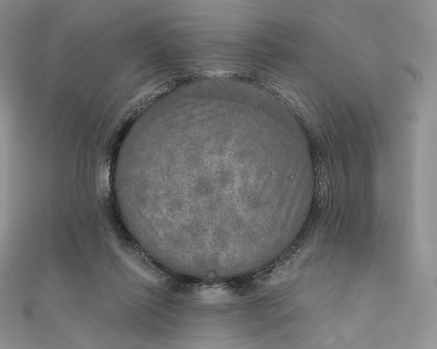 X0000111800262200908061205