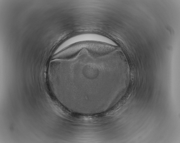 X0000111800264200908061205