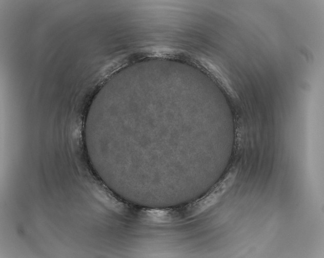 X0000111800265200908061205