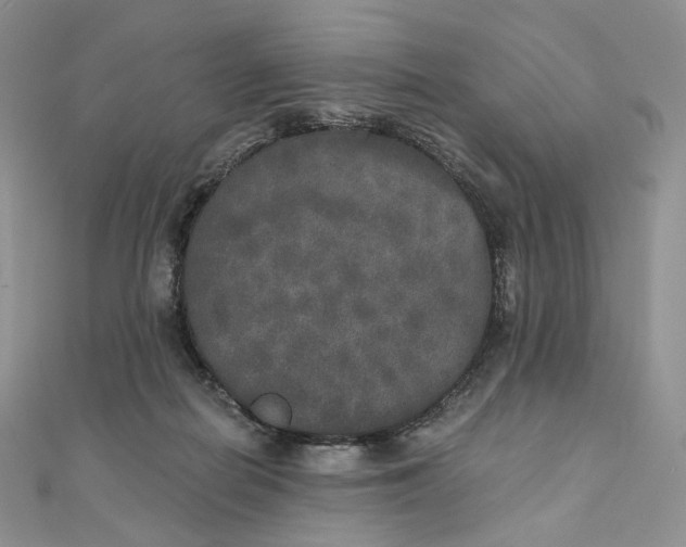X0000111800266200908061205