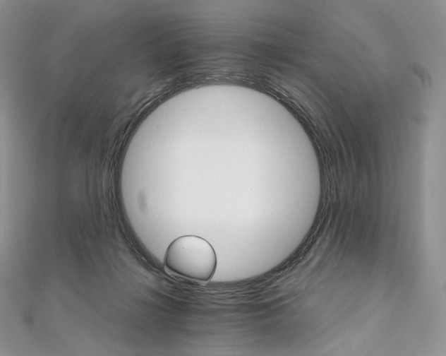 X0000111800268200908061205