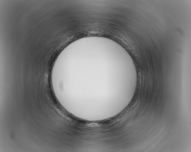 X0000111800269200908061205