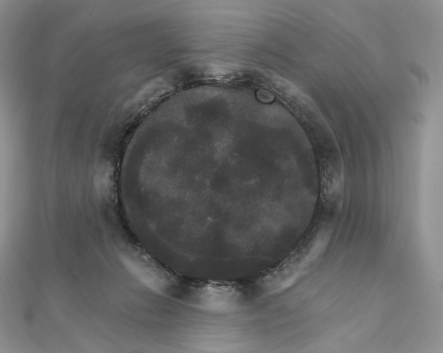X0000111800270200908061205