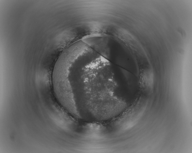 X0000111800272200908061205