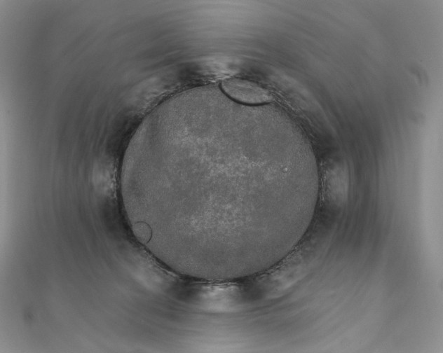 X0000111800274200908061205