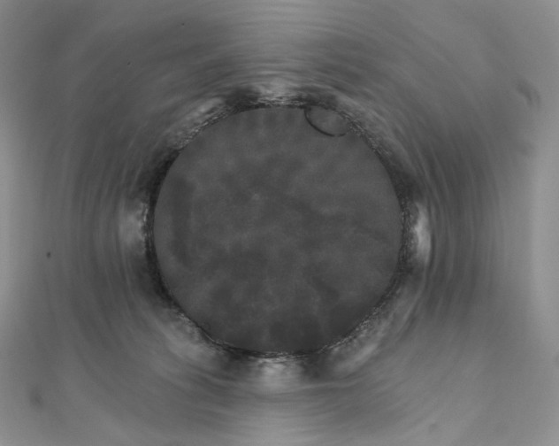 X0000111800275200908061205