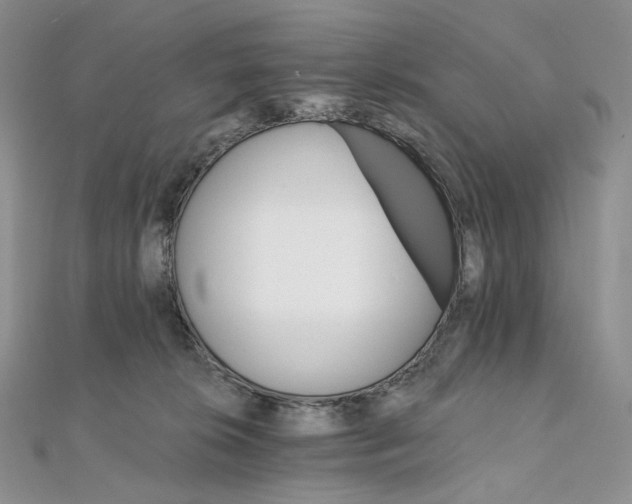 X0000111800276200908061205