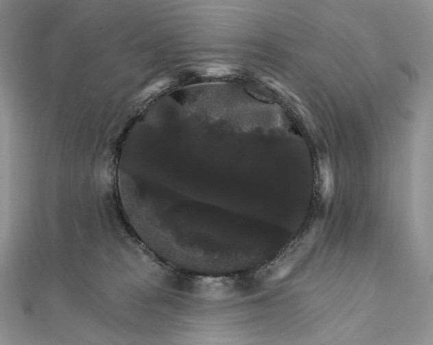X0000111800277200908061205