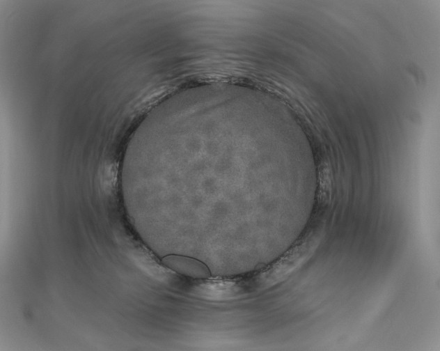 X0000111800278200908061205