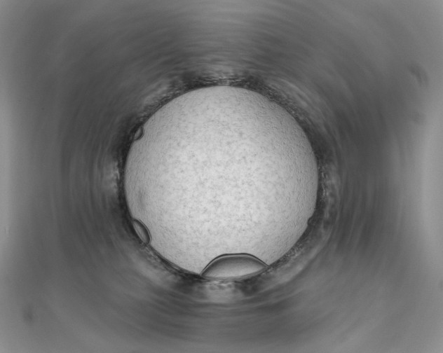 X0000111800279200908061205