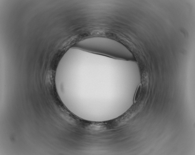 X0000111800280200908061205