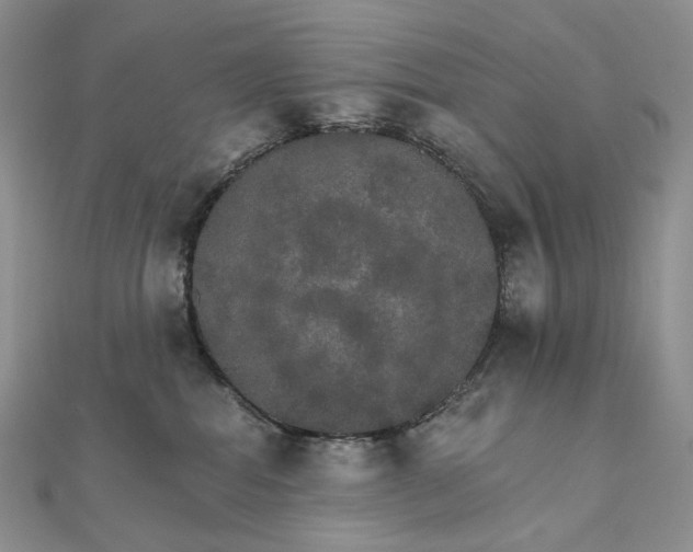 X0000111800282200908061205