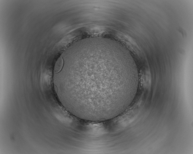 X0000111800283200908061205