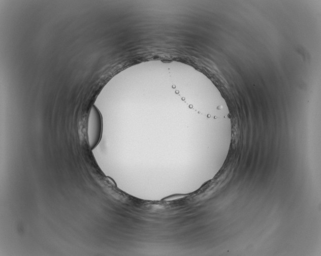 X0000111800285200908061205