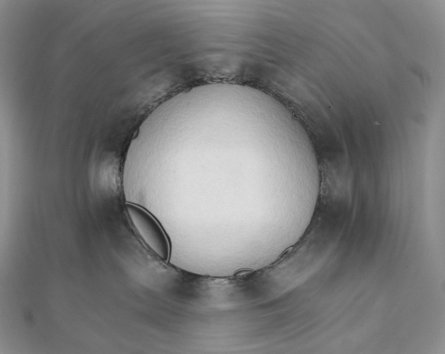 X0000111800287200908061205